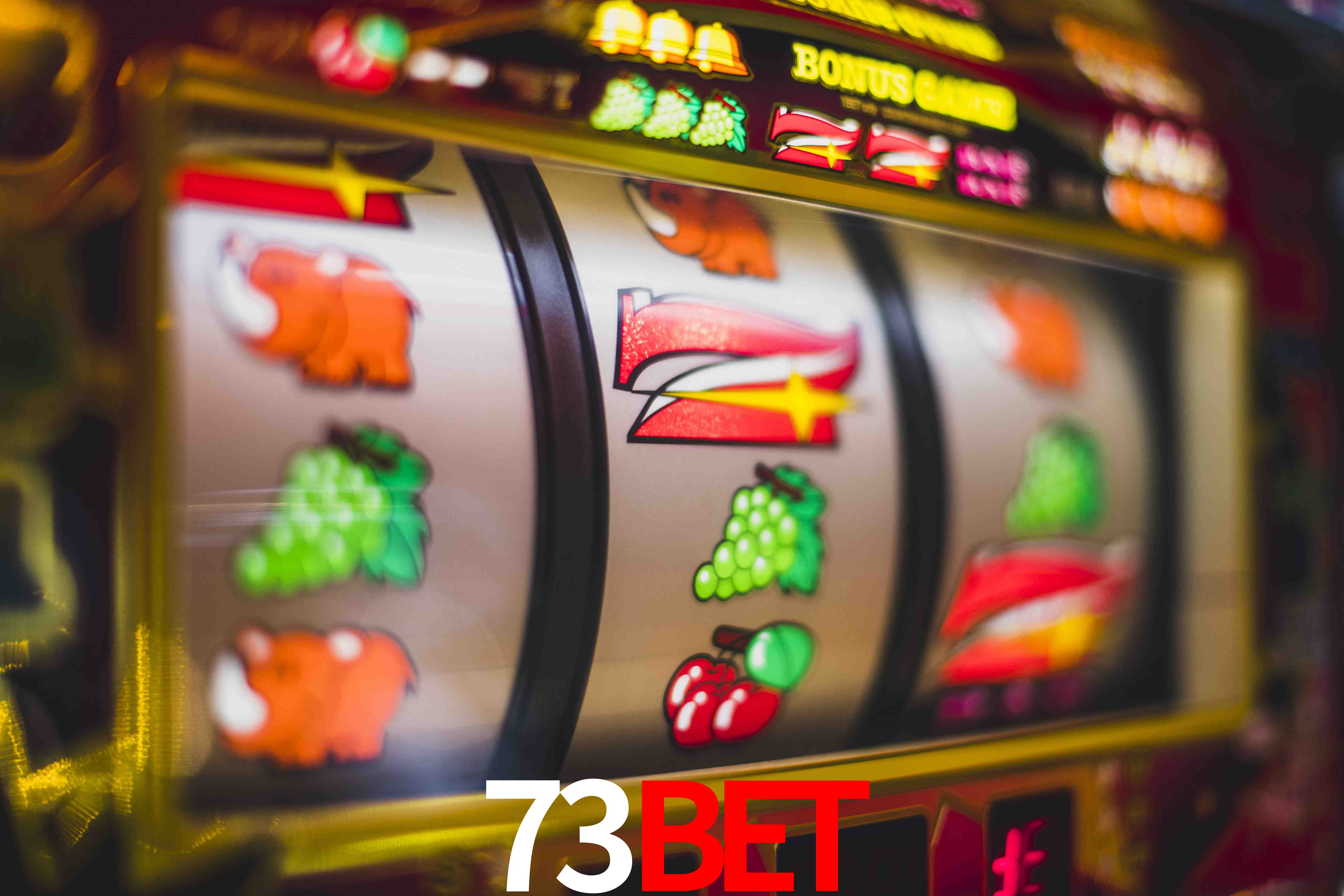 Sports Statistics 73BET